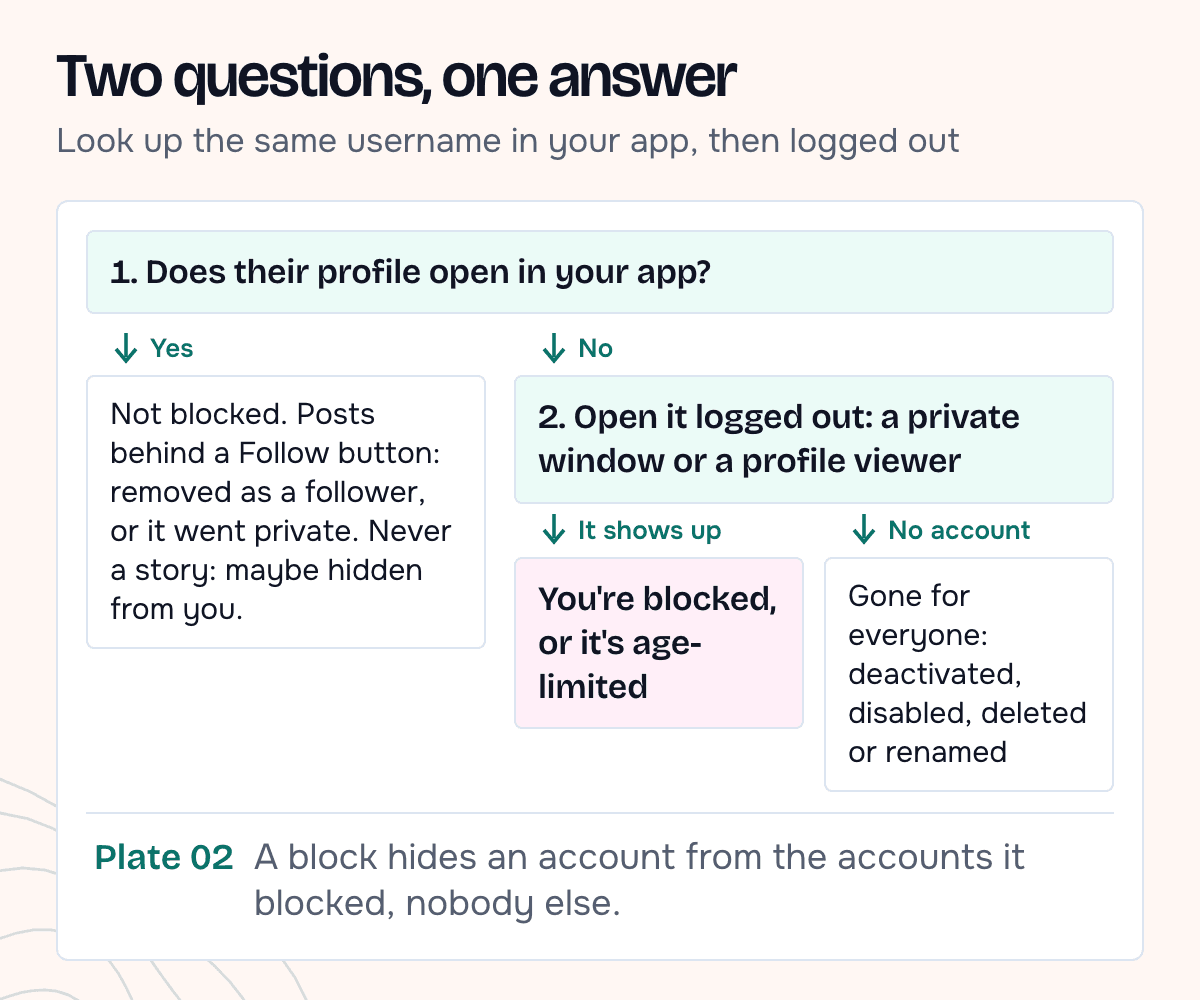 A two-step decision diagram: if their profile opens in your app, you are not blocked; if it does not, open it logged out; if it shows up there you are blocked, if there is no account by that name it is deactivated, disabled, deleted or renamed